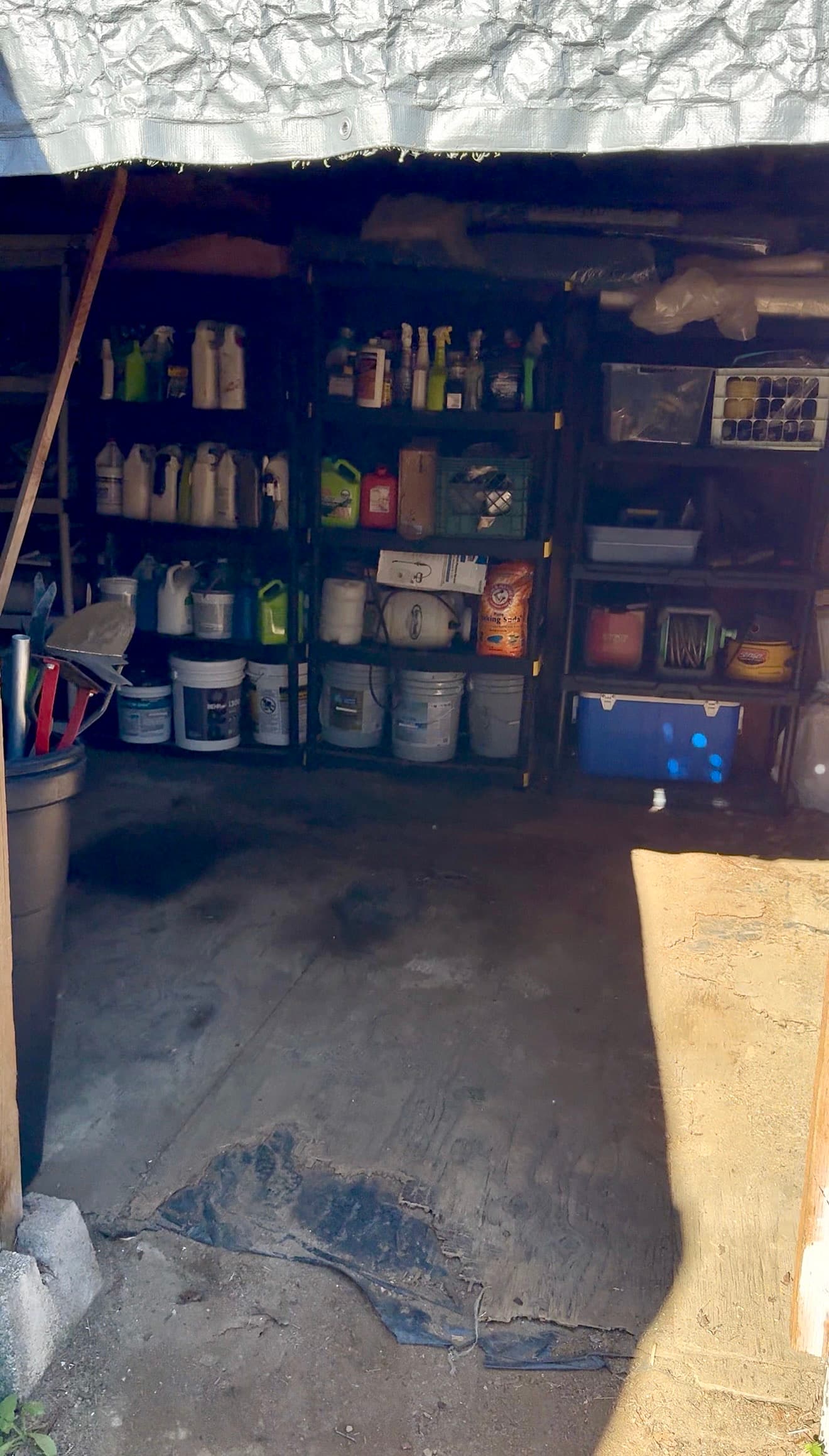 Shed after: clean shelving system, supplies organized and accessible
